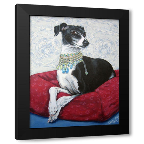 Italian Greyhound on Red Black Modern Wood Framed Art Print with Double Matting by Dillon, Carol