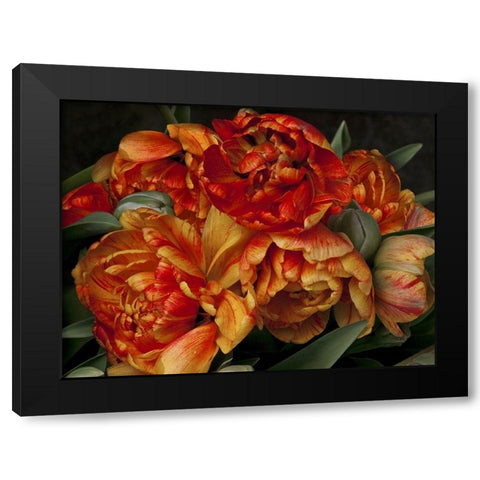 Old World Tulips II Black Modern Wood Framed Art Print with Double Matting by Perry, Rachel