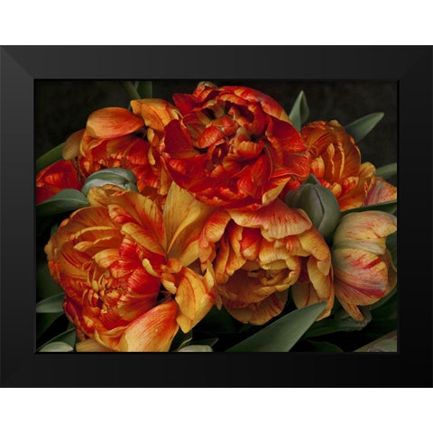 Old World Tulips II Black Modern Wood Framed Art Print by Perry, Rachel