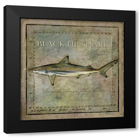 Ocean Fish VI Black Modern Wood Framed Art Print with Double Matting by Beth Anne Creative