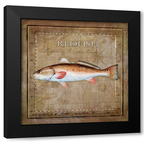 Ocean Fish IX Black Modern Wood Framed Art Print with Double Matting by Beth Anne Creative