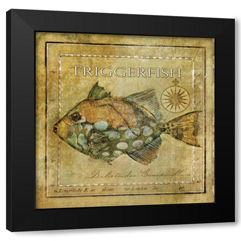 Ocean Fish XI Black Modern Wood Framed Art Print by Beth Anne Creative