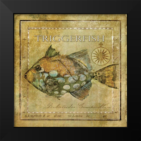 Ocean Fish XI Black Modern Wood Framed Art Print by Beth Anne Creative