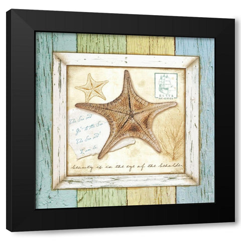 Sea Treasures XII Black Modern Wood Framed Art Print with Double Matting by Beth Anne Creative