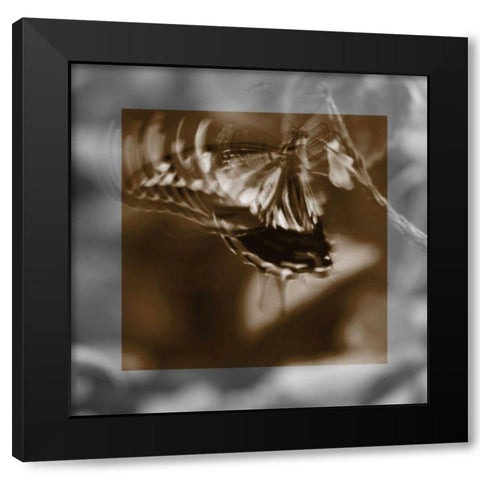 Butterfly Study I Black Modern Wood Framed Art Print with Double Matting by Project, A.