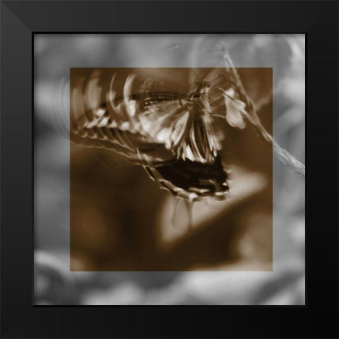 Butterfly Study I Black Modern Wood Framed Art Print by Project, A.