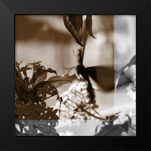 Butterfly Study V Black Modern Wood Framed Art Print by Project, A.