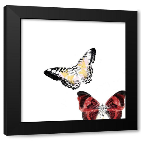 Butterflies Dance V Black Modern Wood Framed Art Print by Project, A.