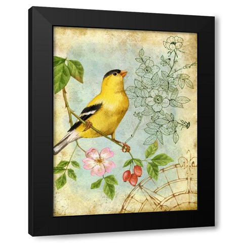 Songbird Sketchbook III Black Modern Wood Framed Art Print with Double Matting by Maday, Jane