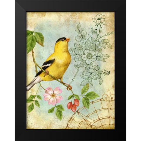 Songbird Sketchbook III Black Modern Wood Framed Art Print by Maday, Jane