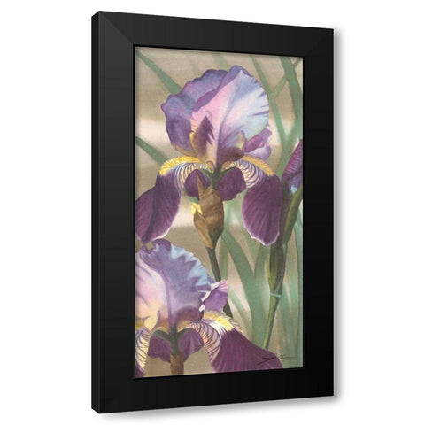 Asian Iris I Black Modern Wood Framed Art Print with Double Matting by Higby, Jason