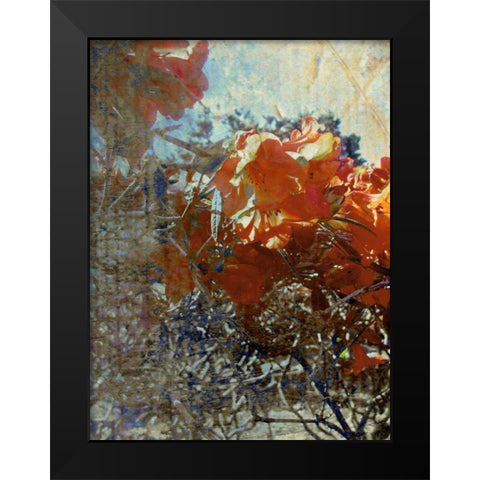 Tangled II Black Modern Wood Framed Art Print by Harrington, Danielle