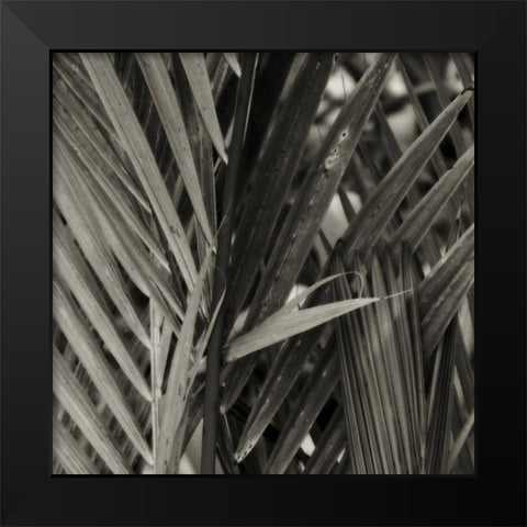 Bamboo Study I Black Modern Wood Framed Art Print by Ling, Tang