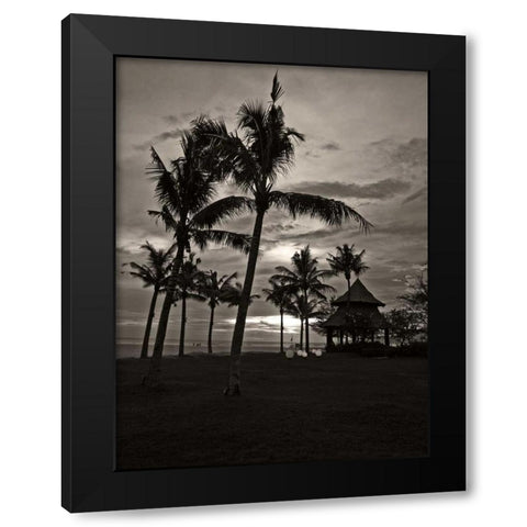 Palms at Night I Black Modern Wood Framed Art Print by Ling, Tang