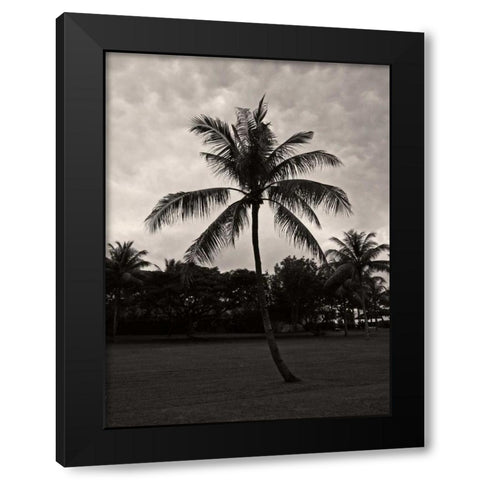 Palms at Night II Black Modern Wood Framed Art Print by Ling, Tang
