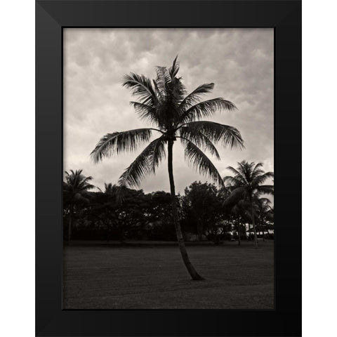 Palms at Night II Black Modern Wood Framed Art Print by Ling, Tang