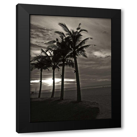 Palms at Night III Black Modern Wood Framed Art Print by Ling, Tang