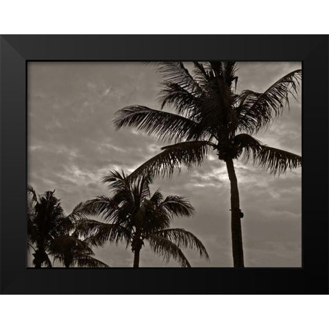 Palms at Night IV Black Modern Wood Framed Art Print by Ling, Tang