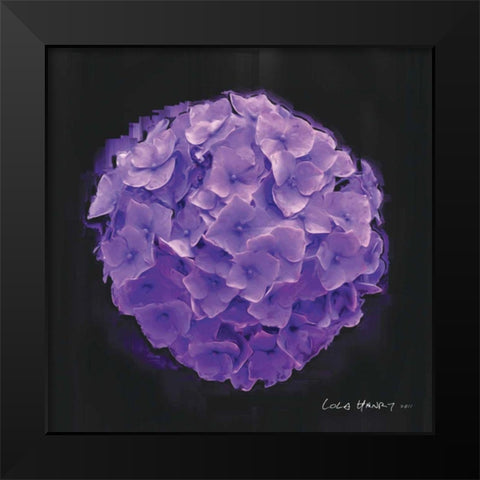 Vibrant Flower I Black Modern Wood Framed Art Print by Henry, Lola