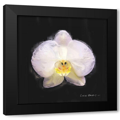 Vibrant Flower IV Black Modern Wood Framed Art Print with Double Matting by Henry, Lola