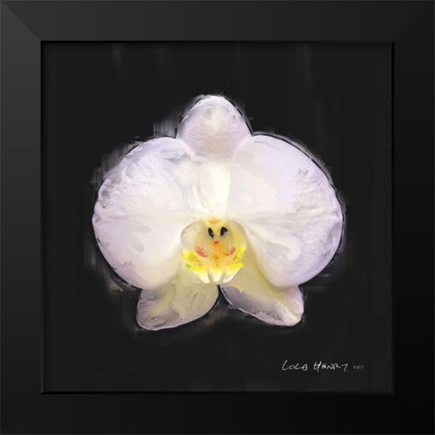 Vibrant Flower IV Black Modern Wood Framed Art Print by Henry, Lola