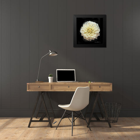 Vibrant Flower V Black Modern Wood Framed Art Print by Henry, Lola