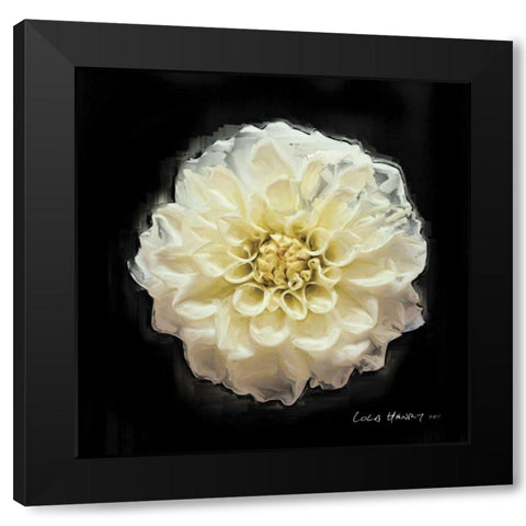 Vibrant Flower V Black Modern Wood Framed Art Print by Henry, Lola