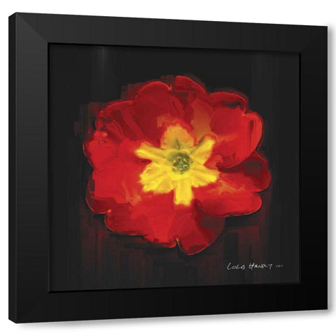 Vibrant Flower IX Black Modern Wood Framed Art Print with Double Matting by Henry, Lola
