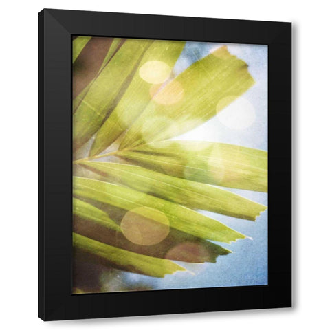 Tropical Daydream I Black Modern Wood Framed Art Print with Double Matting by Robinson, Emily