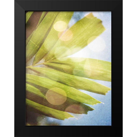 Tropical Daydream I Black Modern Wood Framed Art Print by Robinson, Emily