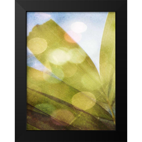 Tropical Daydream II Black Modern Wood Framed Art Print by Robinson, Emily