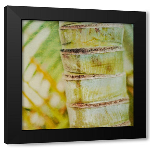 Tropical Texture II Black Modern Wood Framed Art Print by Robinson, Emily