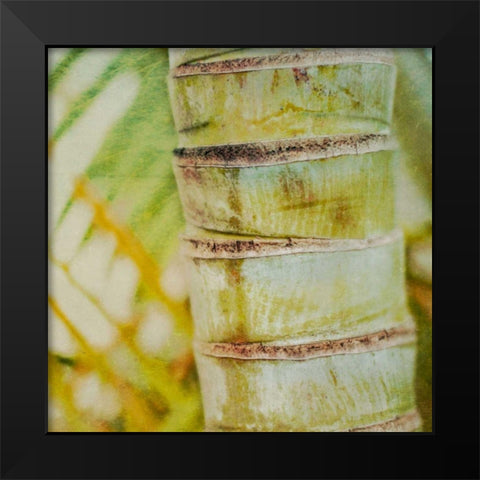 Tropical Texture II Black Modern Wood Framed Art Print by Robinson, Emily