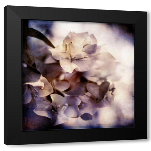 Purple Dusk I Black Modern Wood Framed Art Print with Double Matting by Robinson, Emily