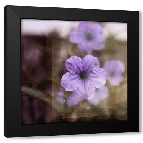 Purple Tranquility II Black Modern Wood Framed Art Print by Robinson, Emily
