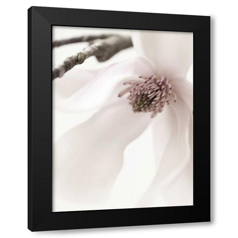 Magnolia Blush I Black Modern Wood Framed Art Print with Double Matting by Zalewski, Christine