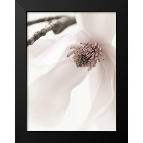 Magnolia Blush I Black Modern Wood Framed Art Print by Zalewski, Christine