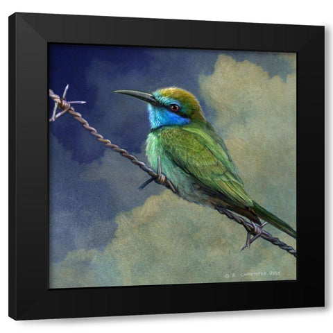 Bee Eater Black Modern Wood Framed Art Print with Double Matting by Vest, Chris