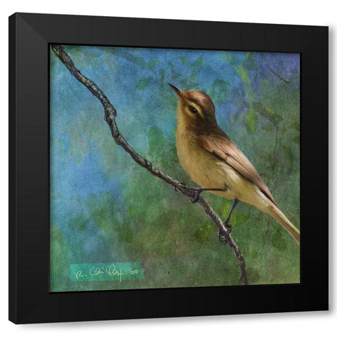Viveo Black Modern Wood Framed Art Print with Double Matting by Vest, Chris