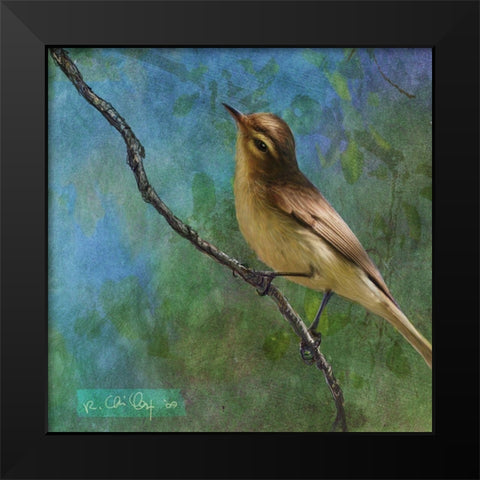 Viveo Black Modern Wood Framed Art Print by Vest, Chris