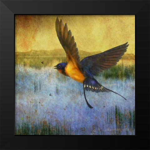 Barnswallow Black Modern Wood Framed Art Print by Vest, Chris