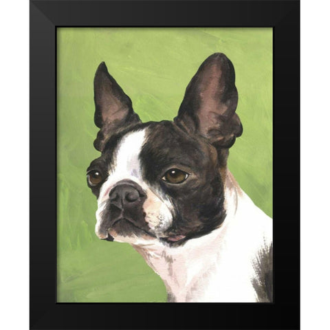 Dog Portrait-Boston Black Modern Wood Framed Art Print by Sands, Jill