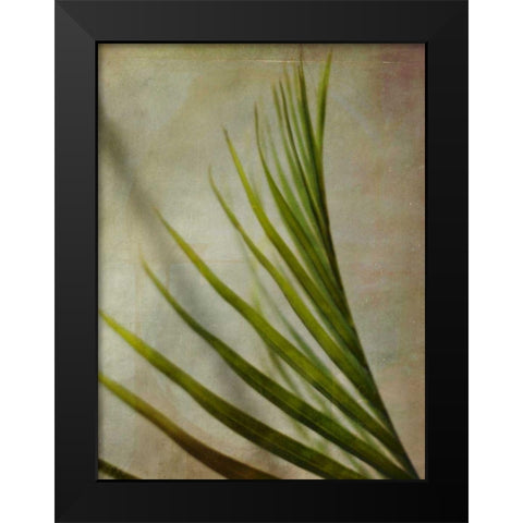 Elegant Frond I Black Modern Wood Framed Art Print by Robinson, Emily