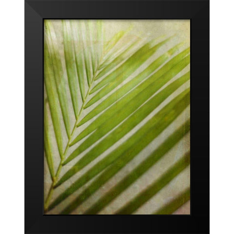 Elegant Frond II Black Modern Wood Framed Art Print by Robinson, Emily