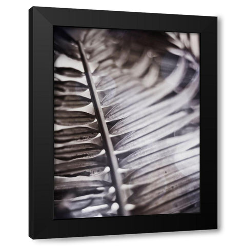 Silvery Frond I Black Modern Wood Framed Art Print by Robinson, Emily