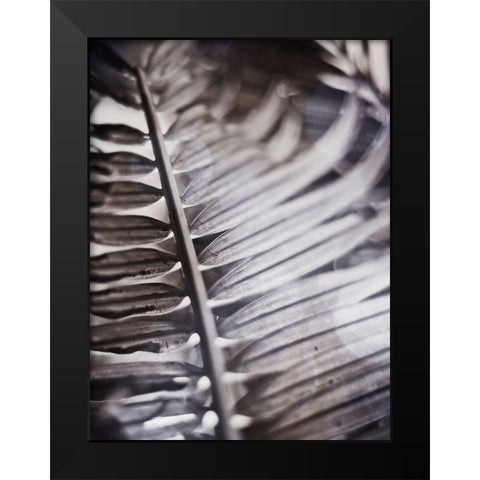Silvery Frond I Black Modern Wood Framed Art Print by Robinson, Emily