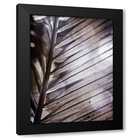 Silvery Frond II Black Modern Wood Framed Art Print with Double Matting by Robinson, Emily