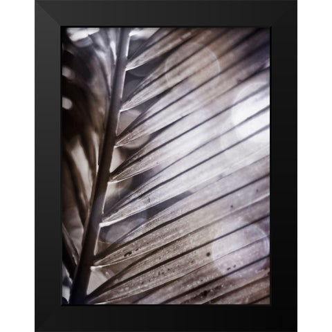 Silvery Frond II Black Modern Wood Framed Art Print by Robinson, Emily