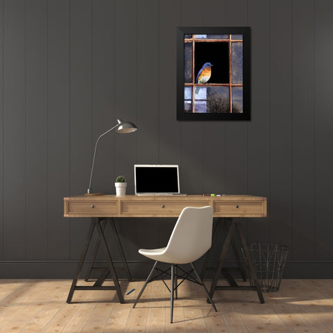 Bluebird Window Black Modern Wood Framed Art Print by Vest, Chris