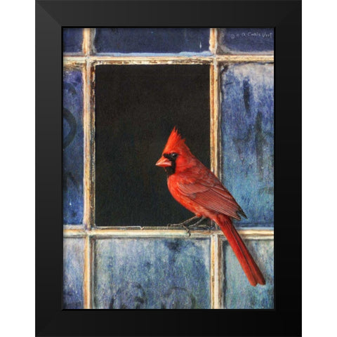 Cardinal Window Black Modern Wood Framed Art Print by Vest, Chris